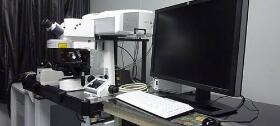 激光共聚焦显微镜的使用方法