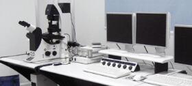 激光共聚焦显微镜的组成