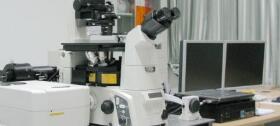 激光共聚焦显微镜的工作原理及优点
