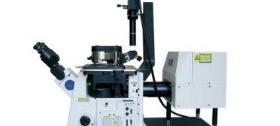 电子显微镜与光学显微镜都有哪些不同？
