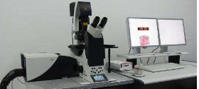 激光共聚焦显微镜的应用领域以及工作原理