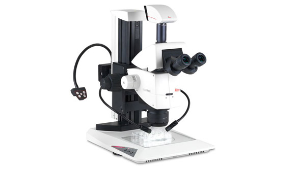 徕卡体视显微镜M165C